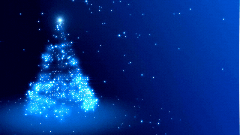 personal trainer personal trainer