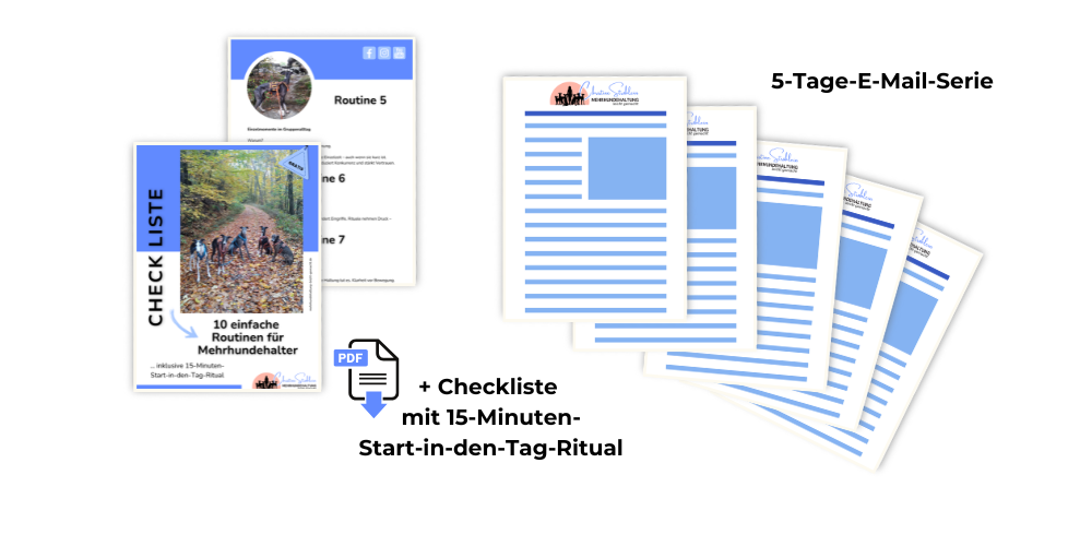 5 Tage, 5 Tipps (+ Checkliste) 5 Tage, 5 Tipps (+ Checkliste)